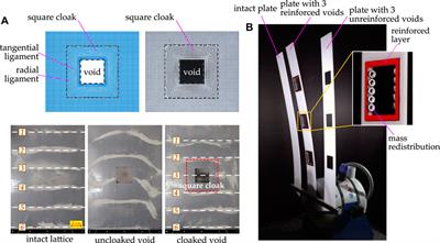 Multi-Physics of Dynamic Elastic Metamaterials and Earthquake Systems